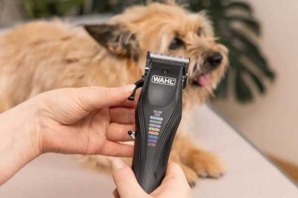 Maszynka do strzyżenia zwierząt Wahl Colour Pro Cordless Pet 3027682